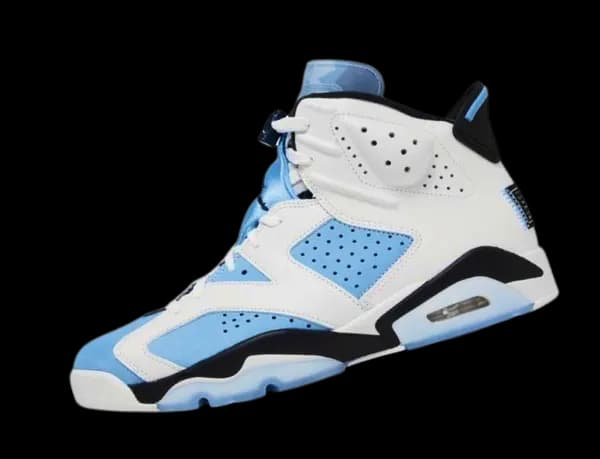 Air Jordan 6